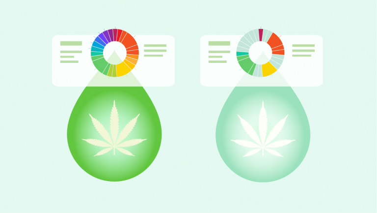 What Are Terpenes Why Are They Important Daily CBD