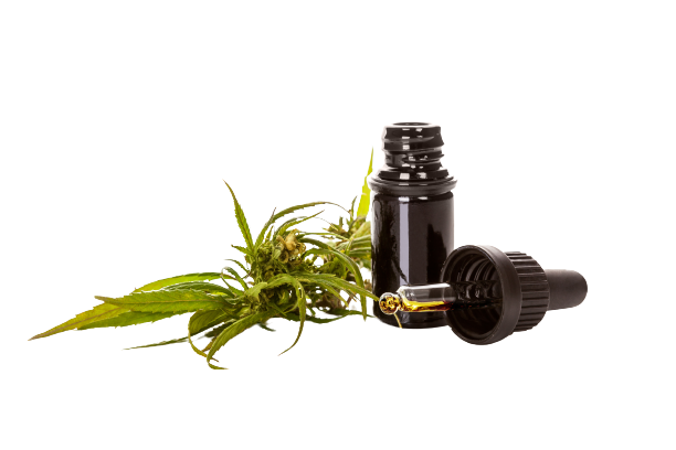 Hemp leaves side to side with a CBD oil dropper over white background