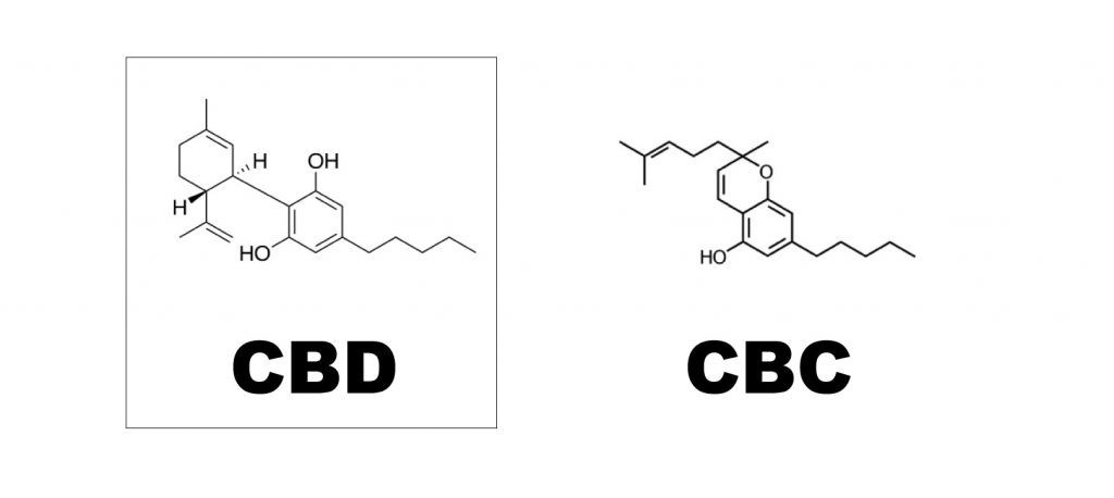 cbd-vs-cbc