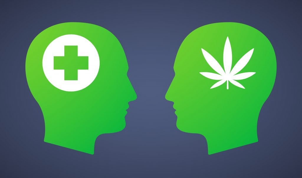 canapa vs. marijuana