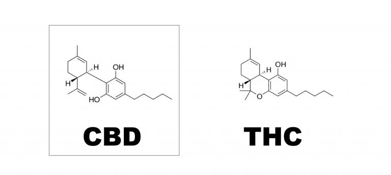 CBD:THC Ratios