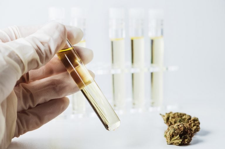 How CBD ThirdParty Testing Works & Why It's Important