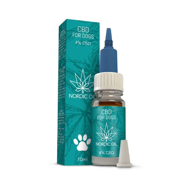 Oil CBD For Dogs — Review