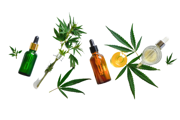 Best Delta 8 THC Tinctures of 2022 (And How to Use Them) — Daily CBD