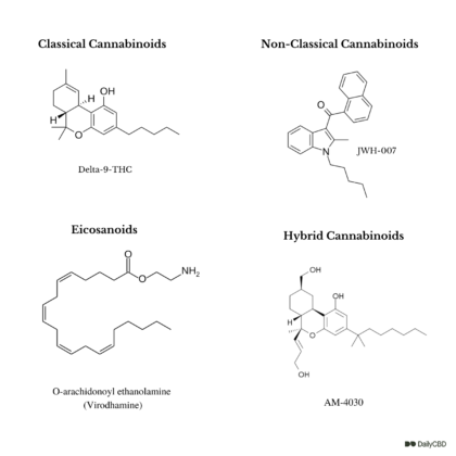 What Are Synthetic Cannabinoids? What Makes Them So Dangerous?