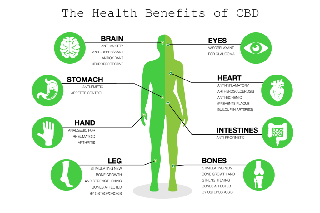 health-benefits-of-cbd-1024x683.png (1024×683)