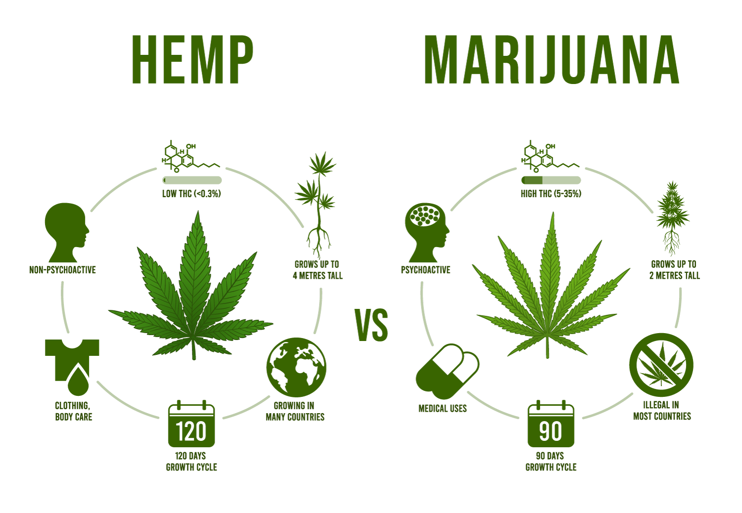 Hemp Oil Vs Cbd Oil — Is There A Difference