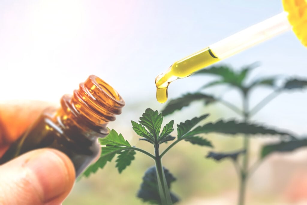 Hand holding bottle of Cannabis oil against Marijuana plant, CBD oil pipette