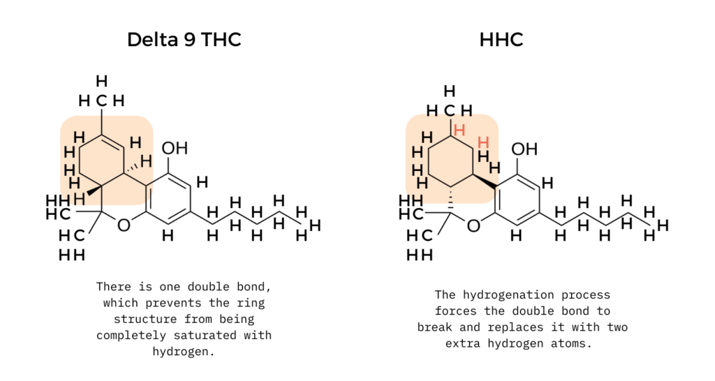 Illustration of HHC hydrogenation proccess