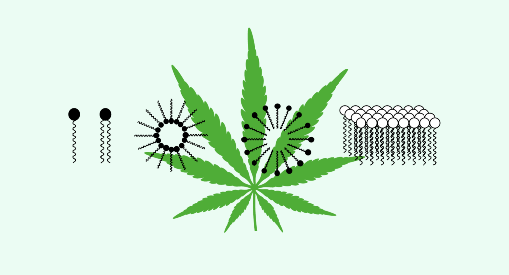 Illustration of a hemp leaf