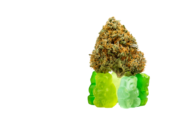 Green gummy bears with a hemp flower on top. CBD gummies concept.