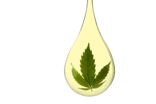 CBD oil drop containing a hemp leaf.