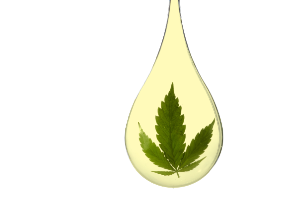 CBD oil drop containing a hemp leaf.