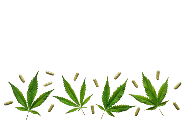 Hemp leaves and capsules over white background