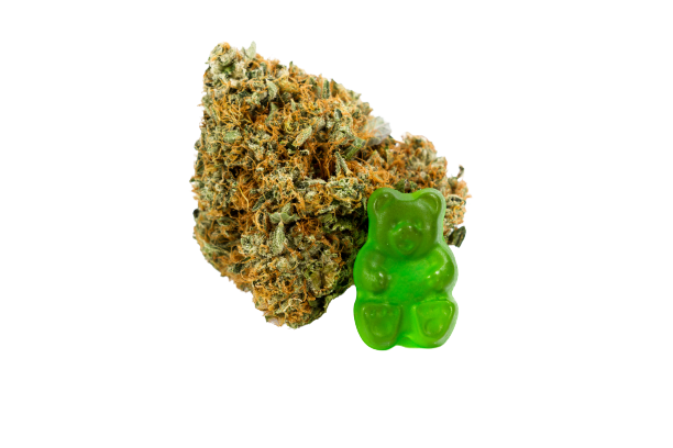 One green gummy bear and a hemp flower over white background.