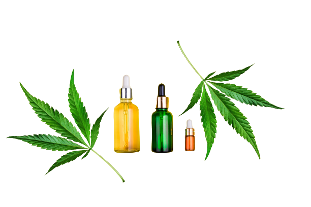 Three CBD oil containers side by side with hemp leaves over a white background