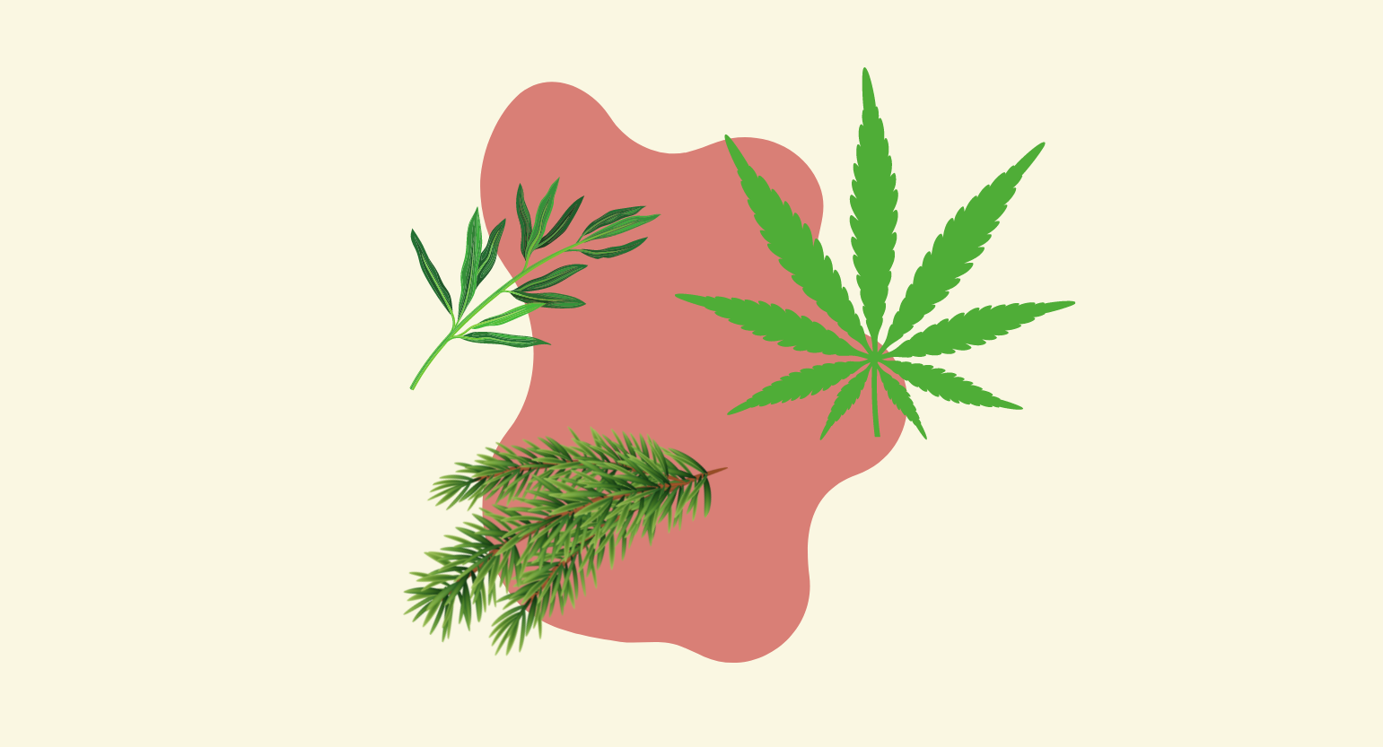 Cannabis flower and other herbs (illustration)
