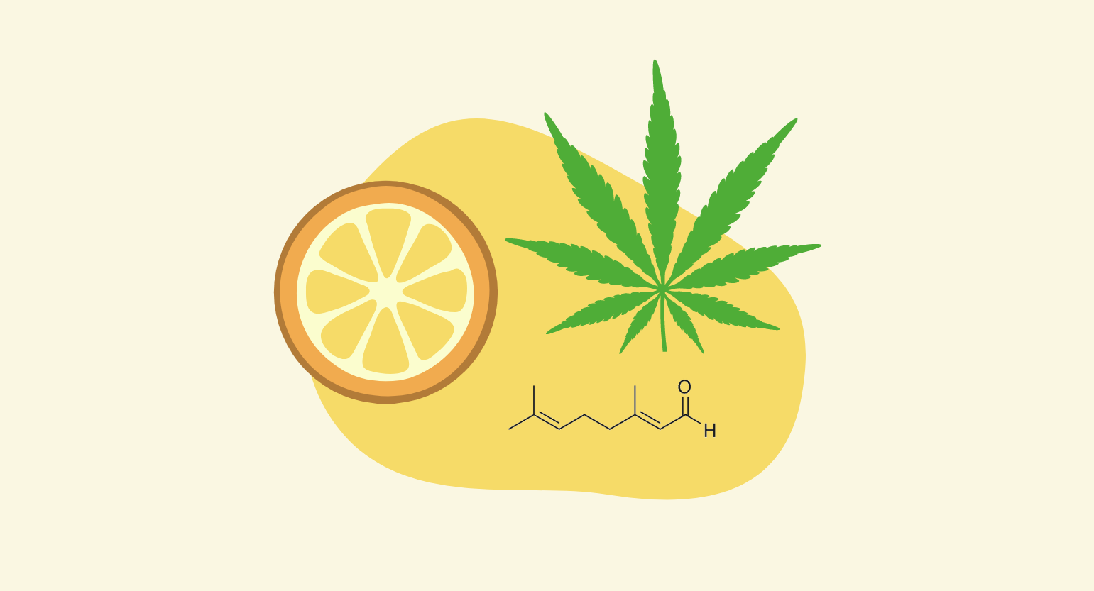 citral molecule and cannabis leaf illustration