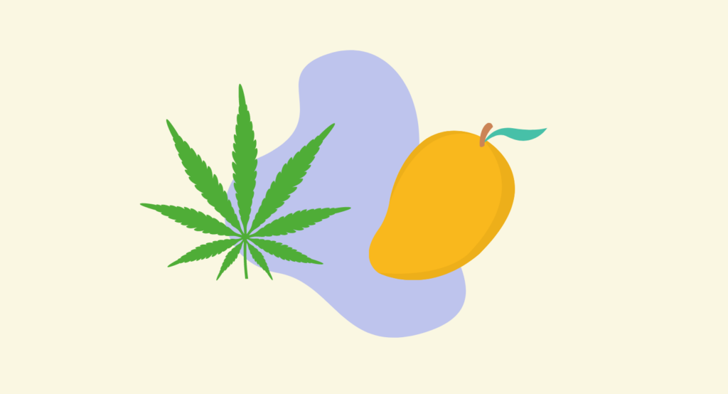 Cannabis flower and mango (illustration)