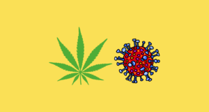 Cannabis leaf and virus illustration