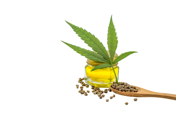 Cannabis seeds and CBD oil isolated on white background