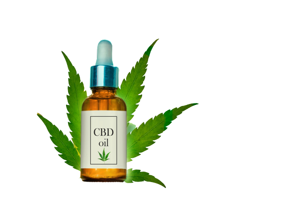 Where to Buy CBD in Louisiana in 2022 — Daily CBD