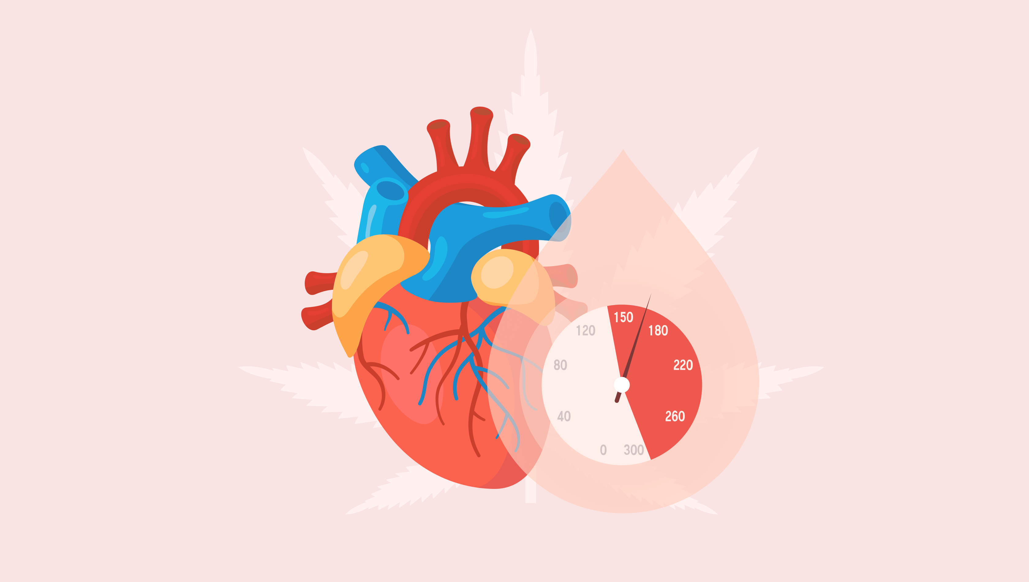 Dieta de hipertensión para inflamación endotelial Dieta de hipertensión para inflamación endotelial