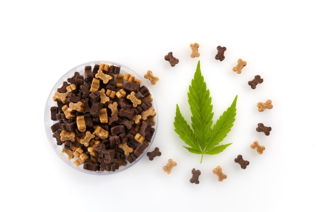 Pets food with hemp. Medical marijuana cannabis cbd oil