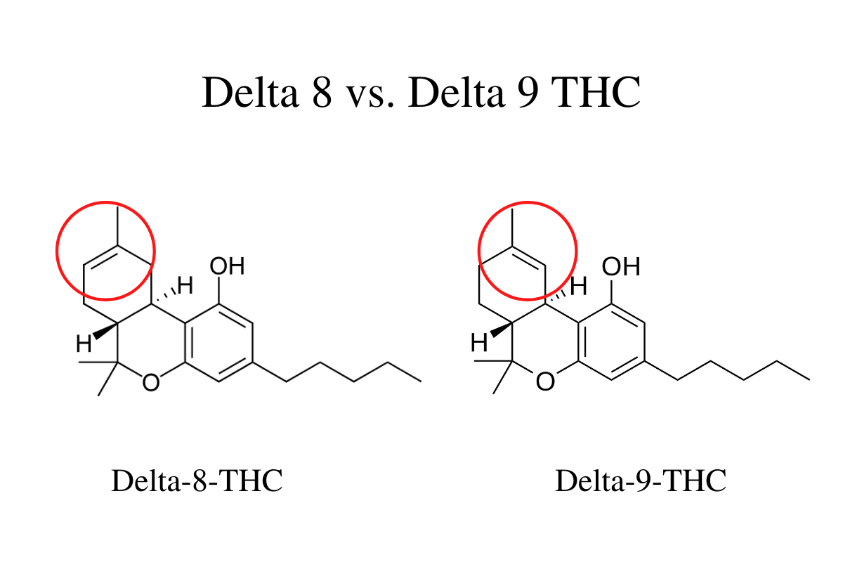 ¿Qué Es El Delta 9 THC? (Guía Sobre El Aceite De CBD Con THC) - Daily ...